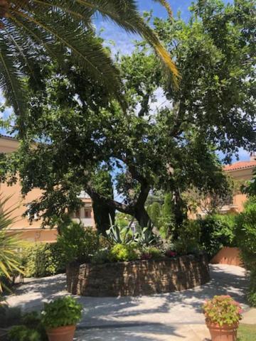 Belle Residence Au Centre De Saint Tropez Avec Piscine Et Garage Exterior foto